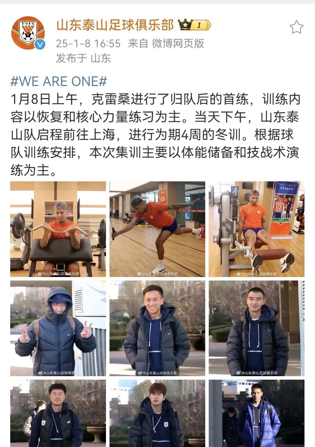 包含泰山新外援被无限看好!这点与费莱尼类似或取代克雷桑的词条