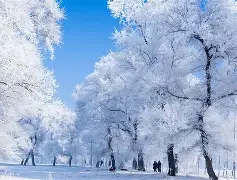吉林队胜出河北华海队，晋级四强